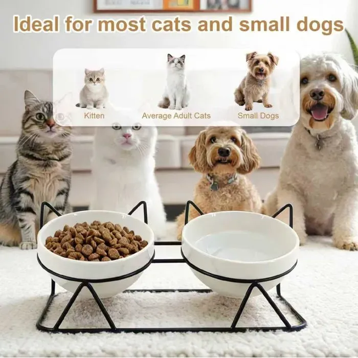 15 Degree Raised Ceramic Cat Bowl Set image 2