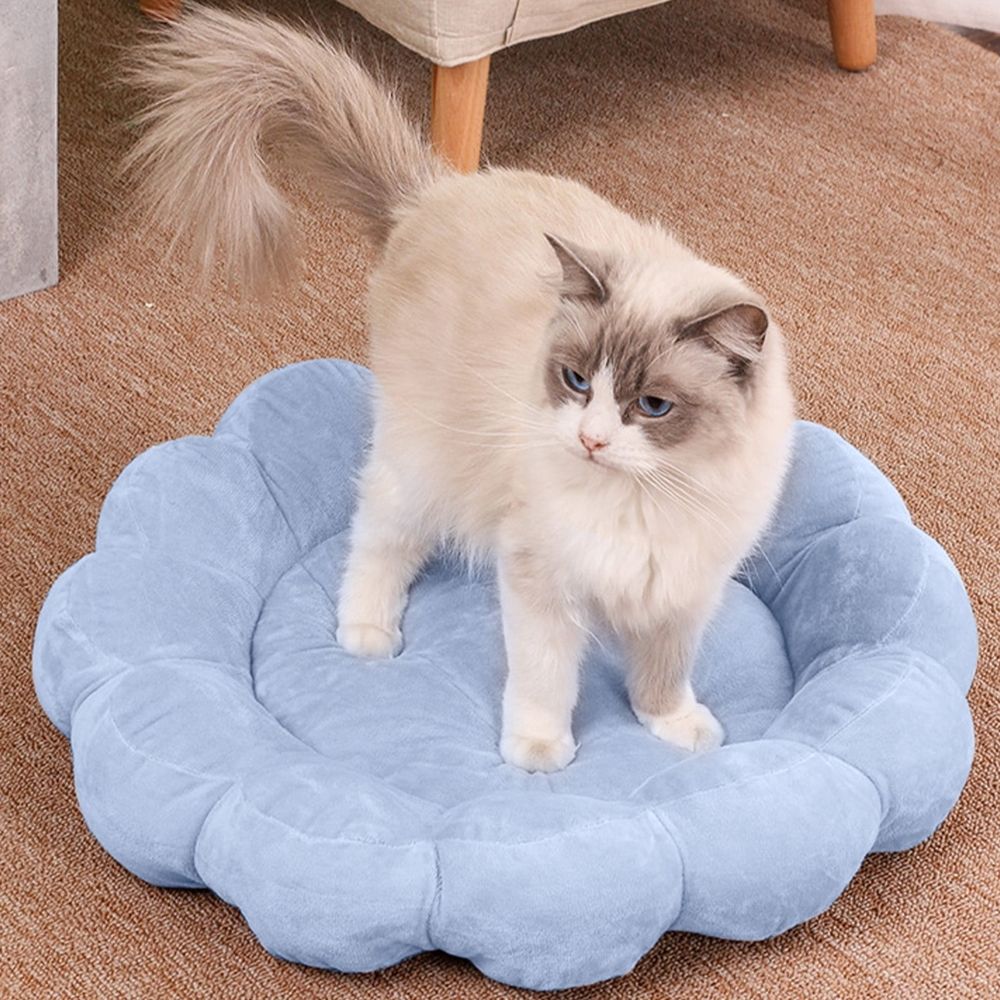 Blue Blue Thickened Fluffy Donut Pet Bed For Small Dogs And Cats Round Warm Sleeping… image 5