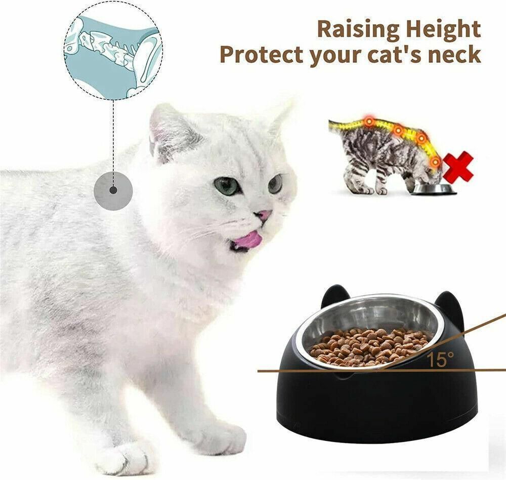 Pet Dog Cat Food Bowl Raised No Slip Stainless Steel Tilted Water Food Feeder - White image 11