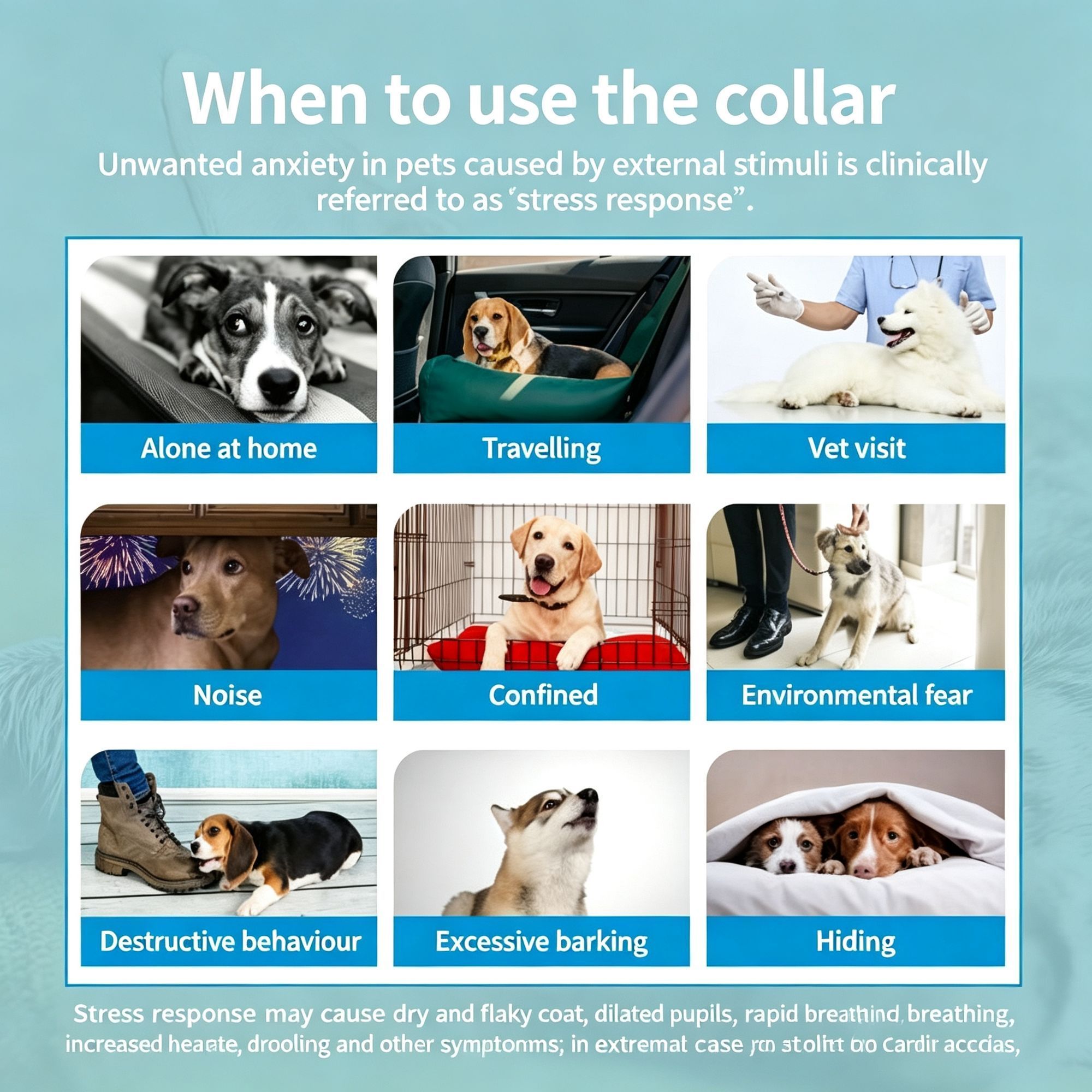 4 Pack Grey Dog Calming Collar 62cm image 4