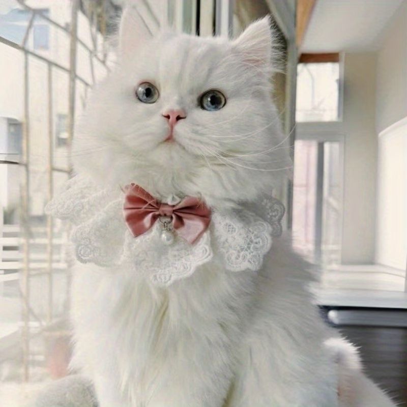 Cat Collar Lace Collar Cat Accessory Green Bow Pet Fashion High-Quality Pet - Burgundy… image 2
