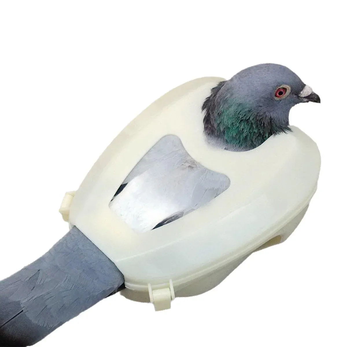 2X Practical Plastic Racing Pigeon Holder Fixed Frame Rack Bird Medicine Feeder image 5