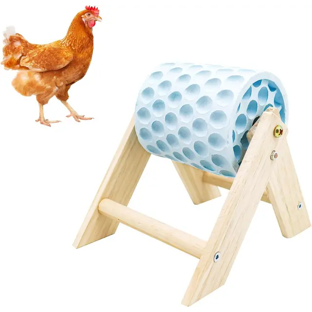 Chicken Coop Accessories, Blue