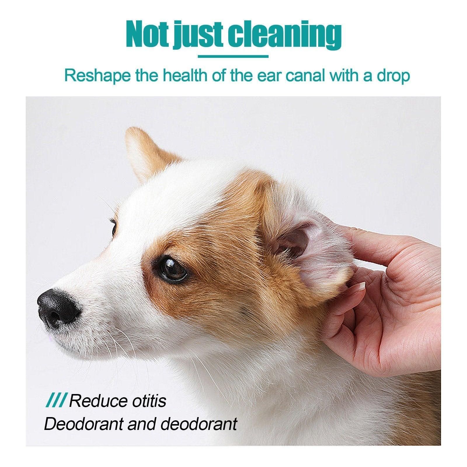 Pet Ear Cleaning Oil for Cats Dogs Deodorize Clean Ears Universal Ear Care Oil image 13