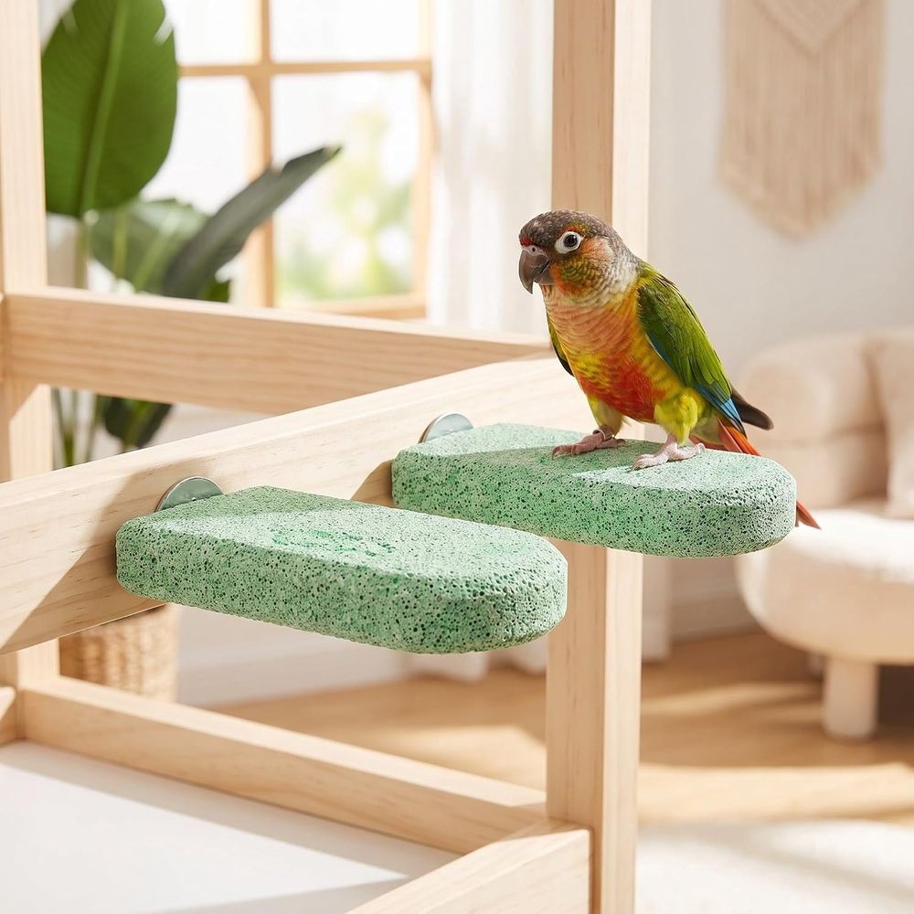 4pcs Lava Pumice Molar Block for Birds, Light Green image 4