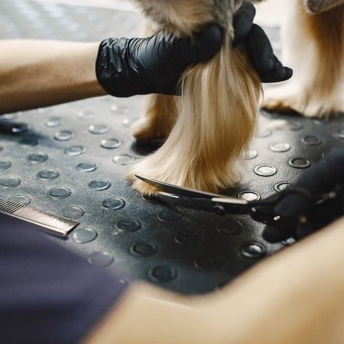 Dog Grooming Scissors Trimmer Kit image 8