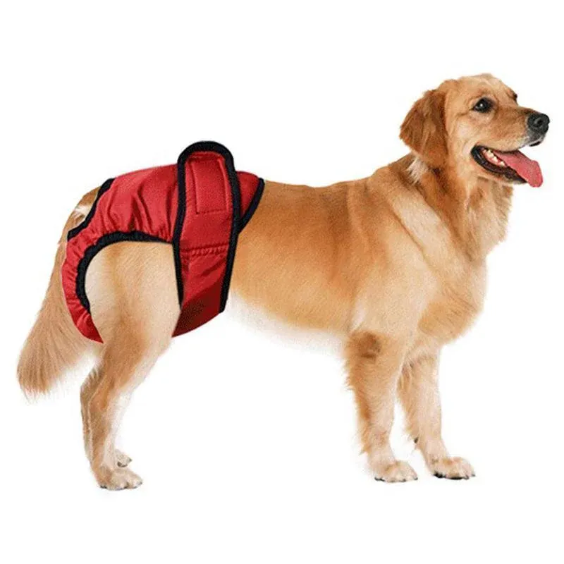 Washable Female Pet Dog Cat Nappy Diaper Physiological Pants Panties Underwear Red - L image 11