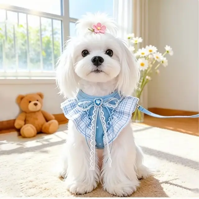 Pet Denim Harness Leash Set Breathable Adjustable Escape Proof for Small Medium Dogs…