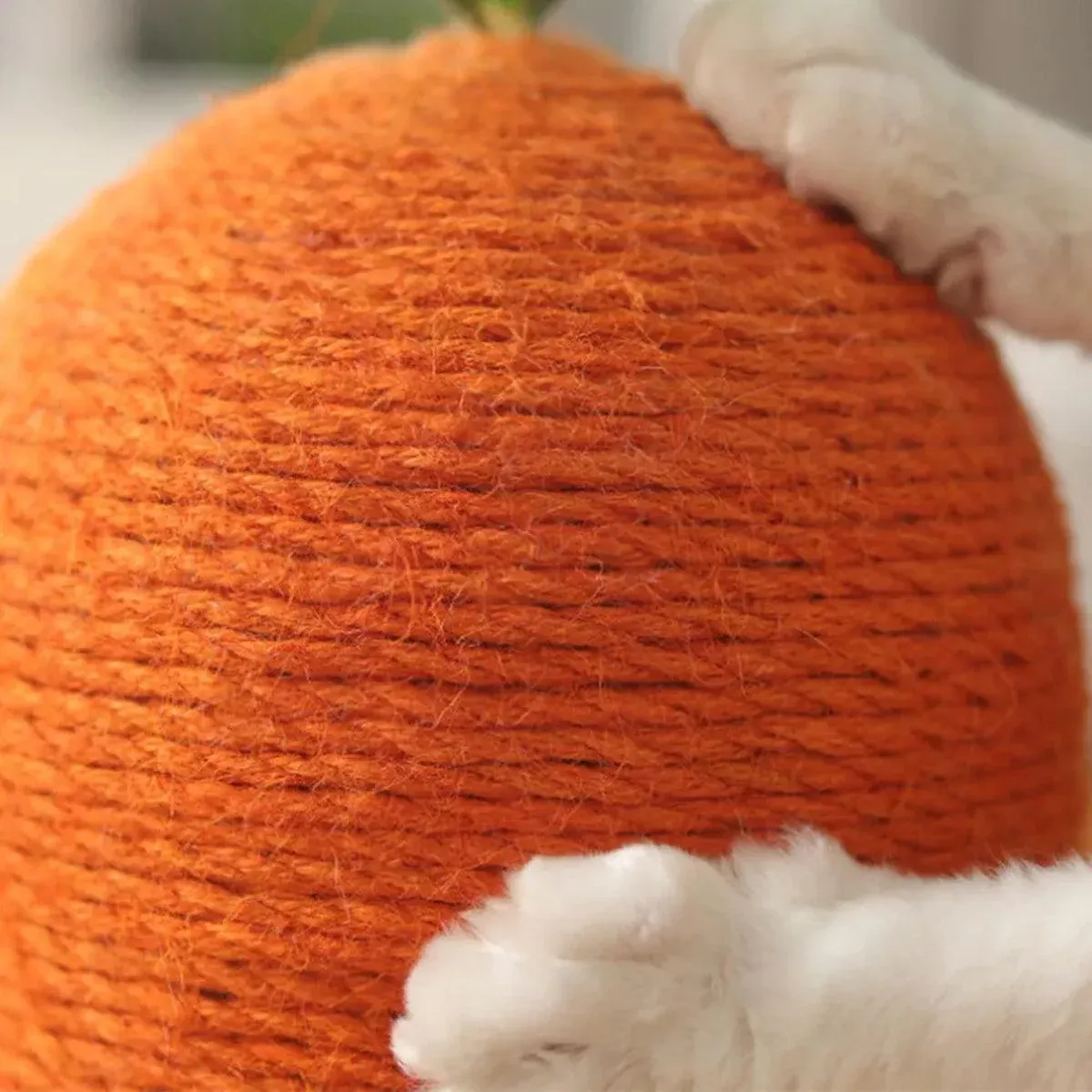 Carrot Cat Scratching Post Vertical Climbing Frame Interactive Toy for Cats image 8