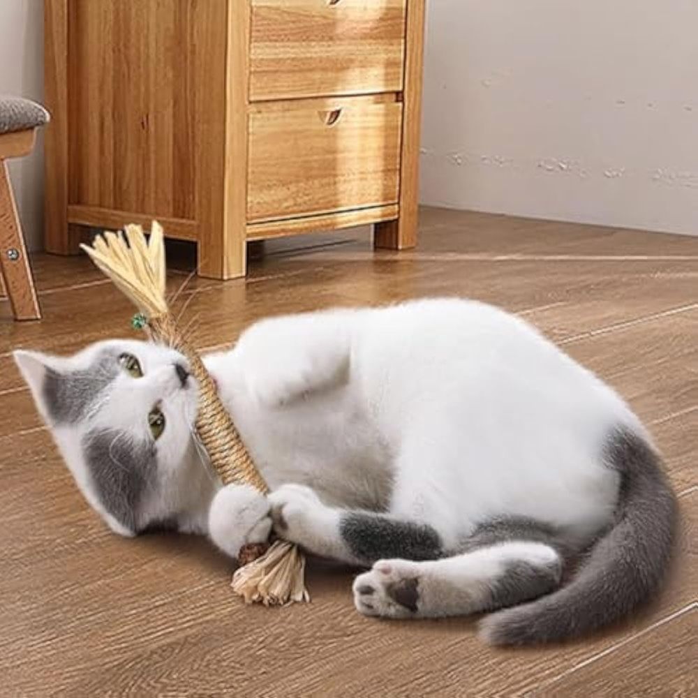 Natural Dental Sticks Sticks for Cats image 4