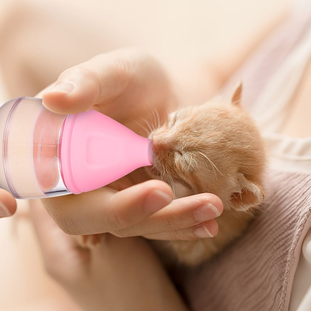 6-Piece Kitten and Puppy Bottle Feeding Set for and Small Pets image 3