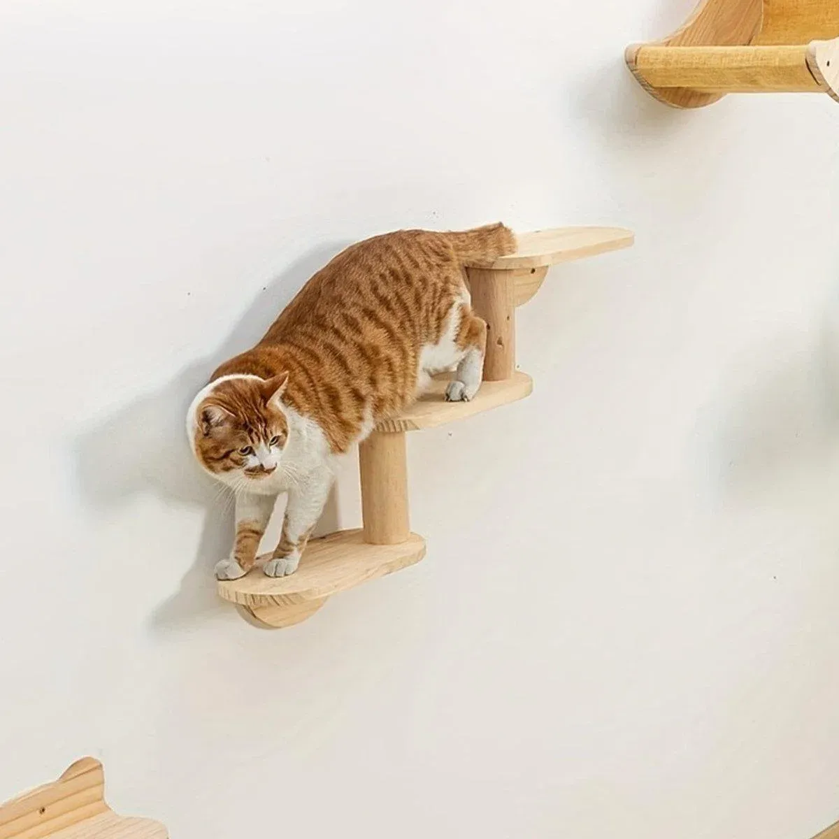 Solid Wood Wall Mounted Cat Climbing Tree Rack Platform Space Capsule Bed Shelf image 8