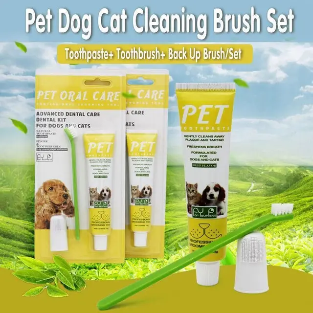 Pet Dog Cat Toothpaste and Toothbrush Set Beef Flavor