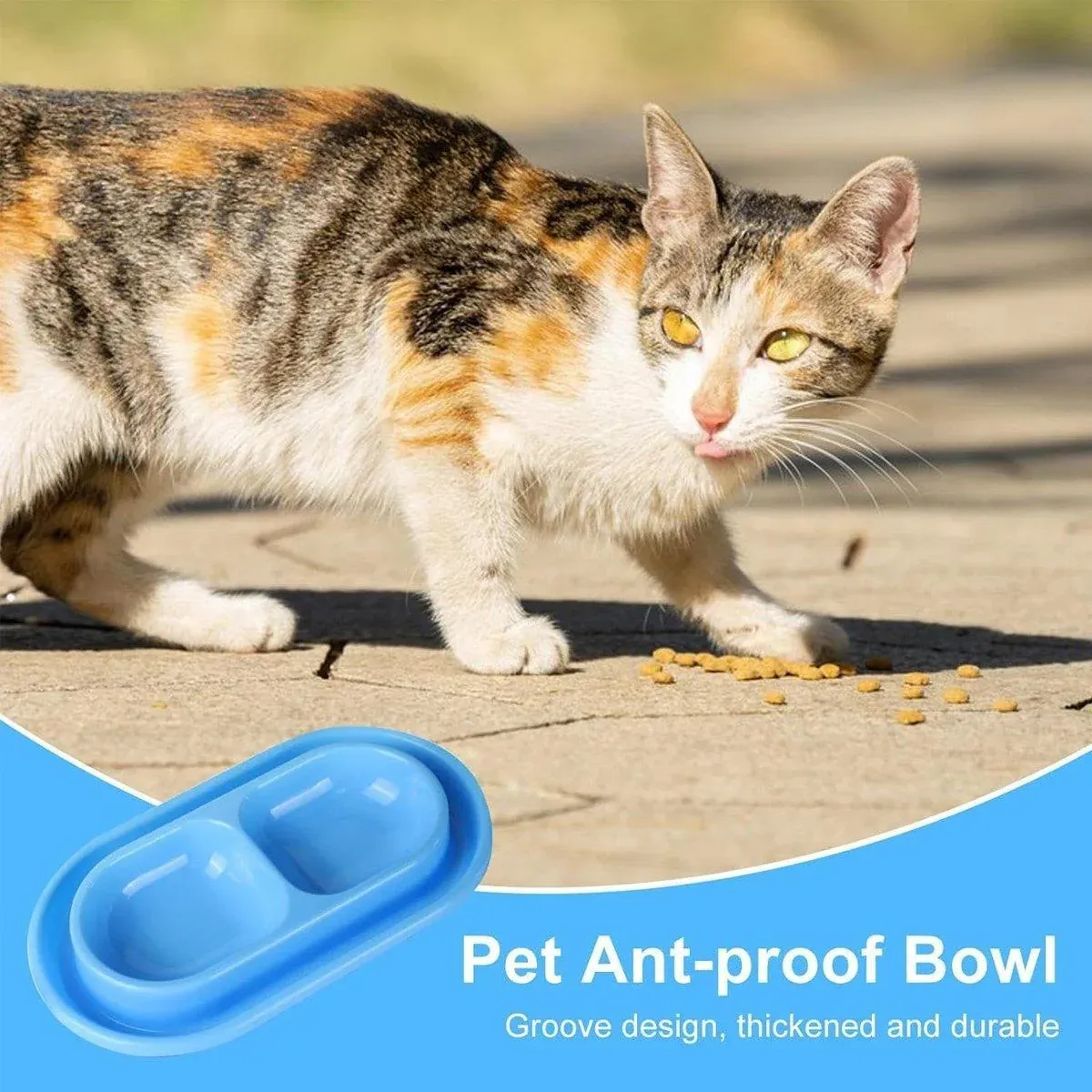 1-Piece Blue Double-Compartment Pet Feeding Bowl image 7