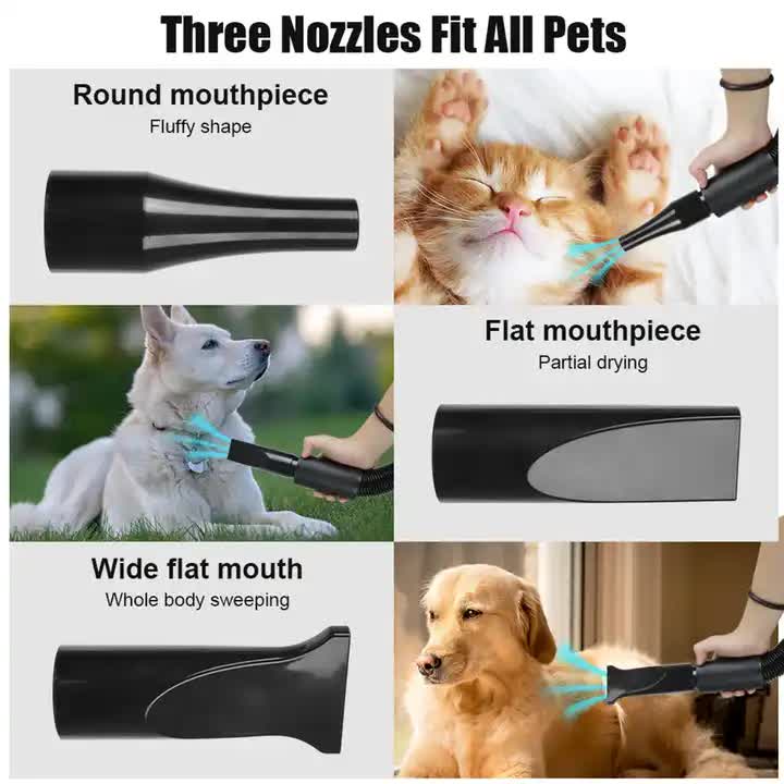 Pet Hair Dryer with Multiple Nozzles - Powerful and Quiet for Dogs and Cats, Blue image 5