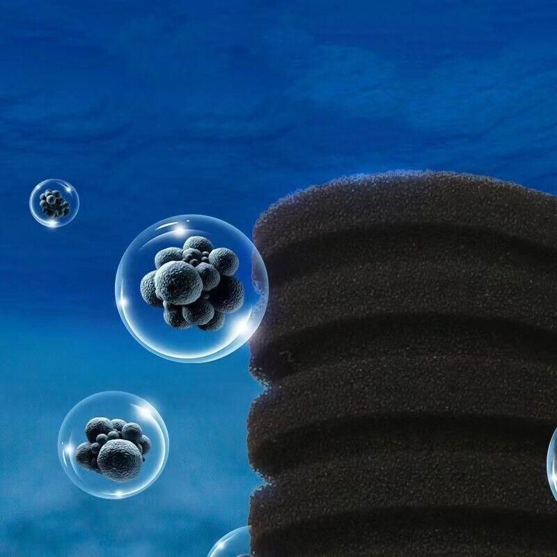 Double Head Aquarium Sponge Filter with Bio Media Box for Shrimp Breeding Tanks image 4