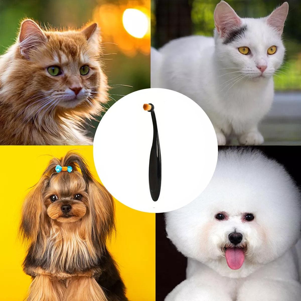 Pet Tear Stain Remover Brush for Cats and Dogs, 1 Piece image 8