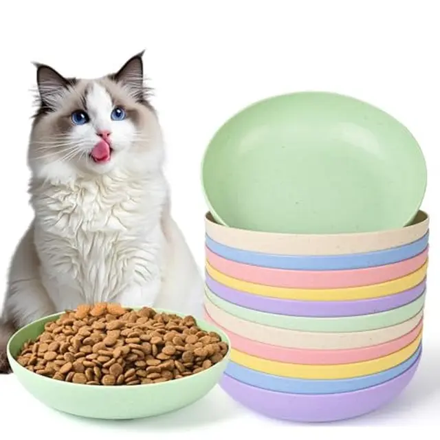 12 Pack Cat Food Bowl 5.7 Inch Cat Bowls