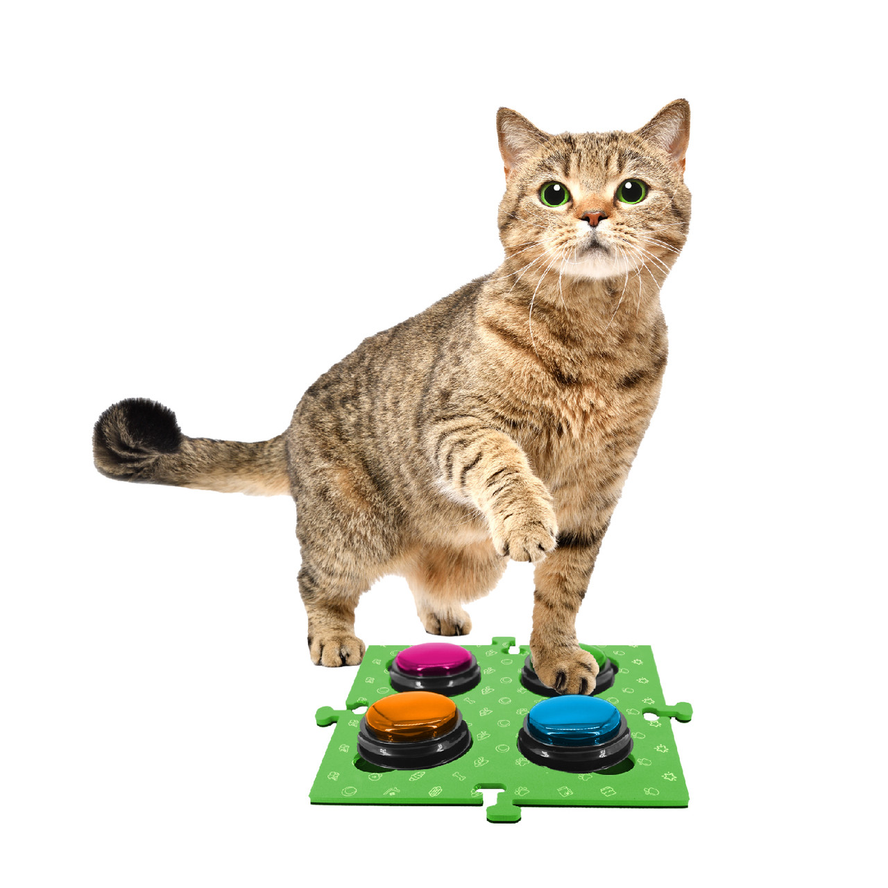Tech4Pets Green Mat 2-Pack for Talking Buttons & Floor image 3