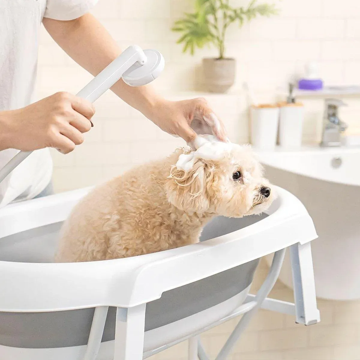 Pet Bath Tub Elevated Stand for Cats and Puppies Portable Bathing Tub for Pets image 13