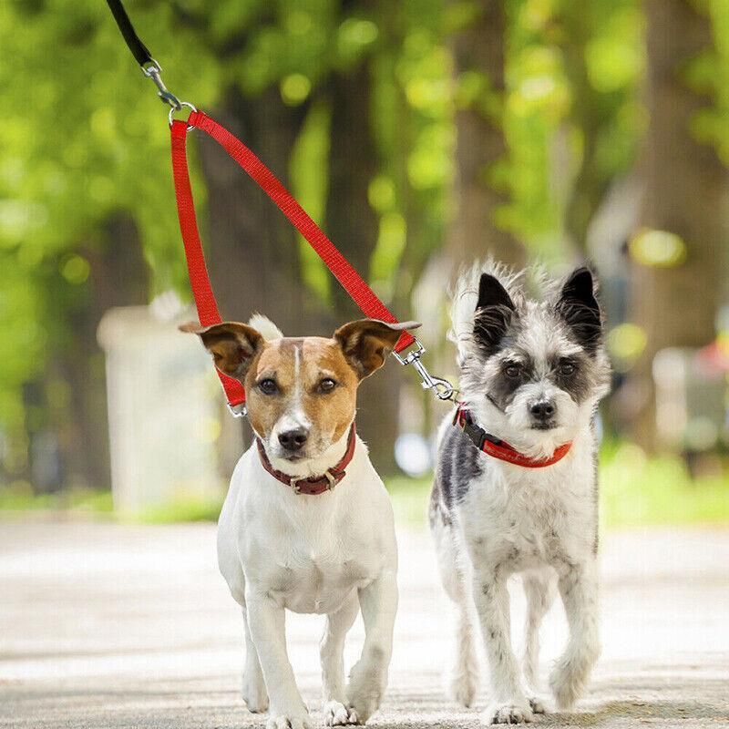 2 Way Double Dual Dog Leash Walk 2 Dogs With One Lead Coupler Nylon Harness - Blue image 4
