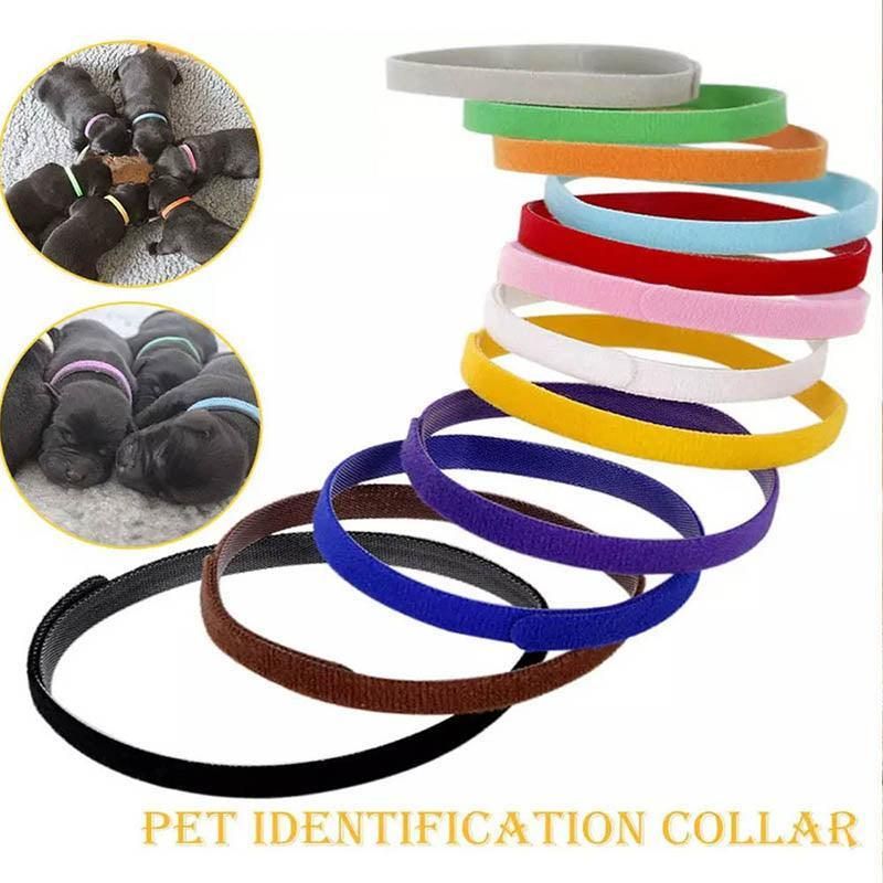 12 Colour Soft ID Collars for Puppies and Kittens Adjustable Pet Identifier Bands image 8