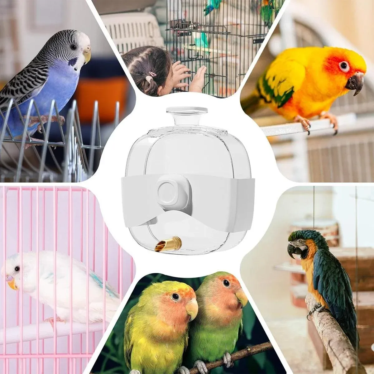 450ml Parrot Water Bottle Bird Drinker Feeder Large Capacity for Birds and Pet image 5