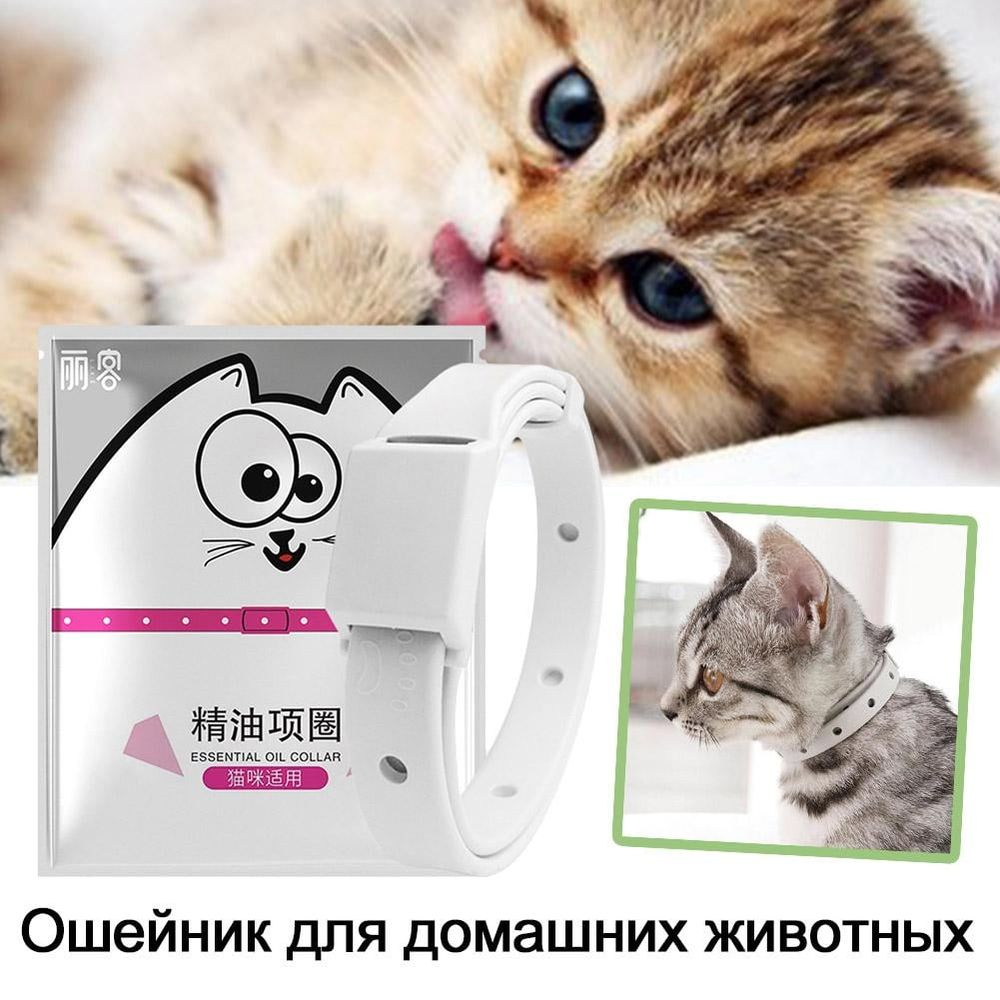 Pet Essential Oil Collar For Mosquito Insect Repellent,ashable Cat Collar image 2
