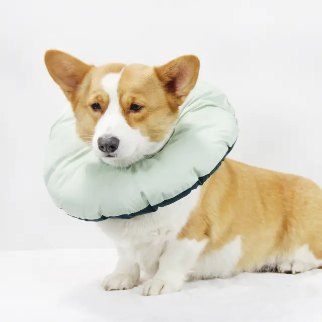 Green Adjustable Soft Elizabethan Collar for Pets - Comfortable Recovery Aid - L