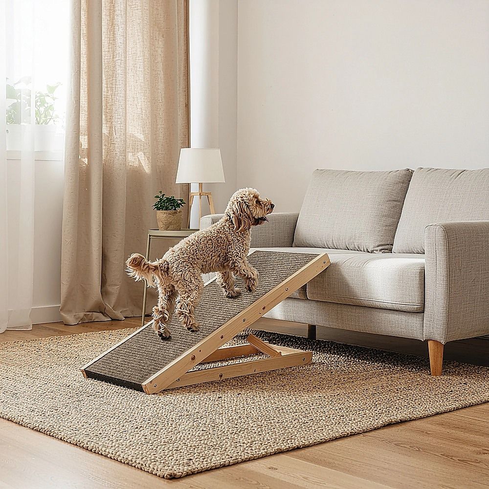 Dog Ramp Pet Ramp Adjustable Heights Portable image 2