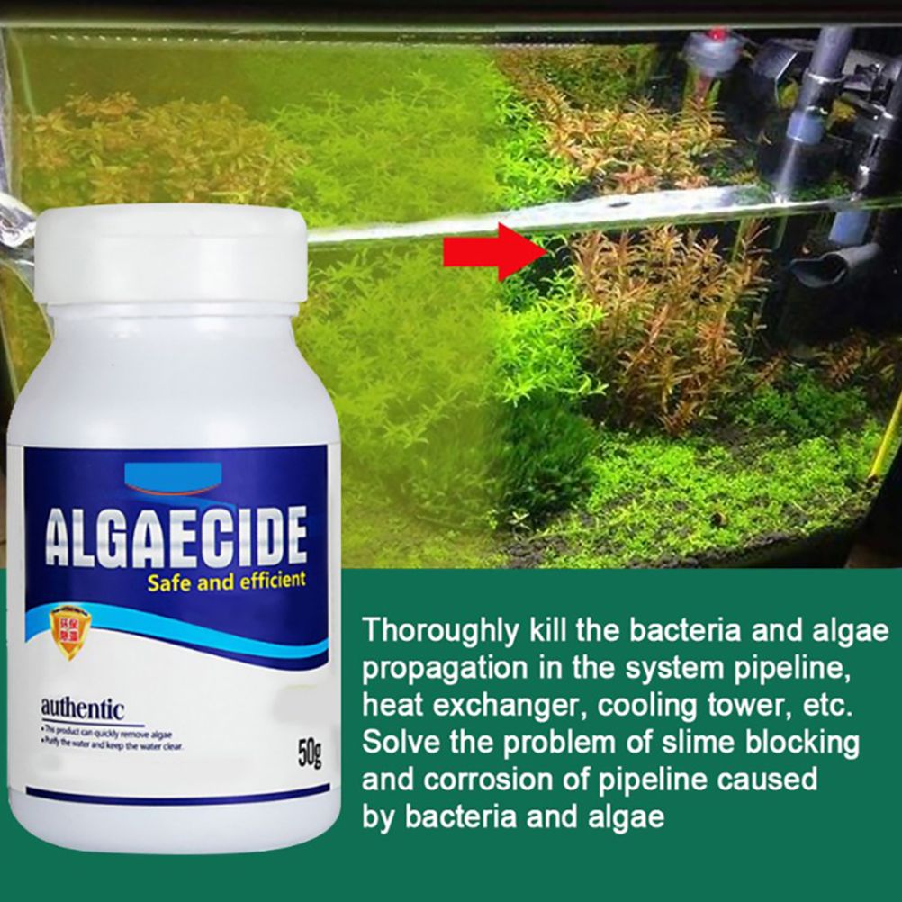 Freshwater Aquarium Algaecin Water Clarifier Eco Friendly Fish Tank Cleaner image 3