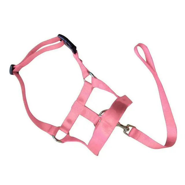 Pink Dog Training Head Collar Halter Stop Pulling Training Tool Harness Strap Leader - S