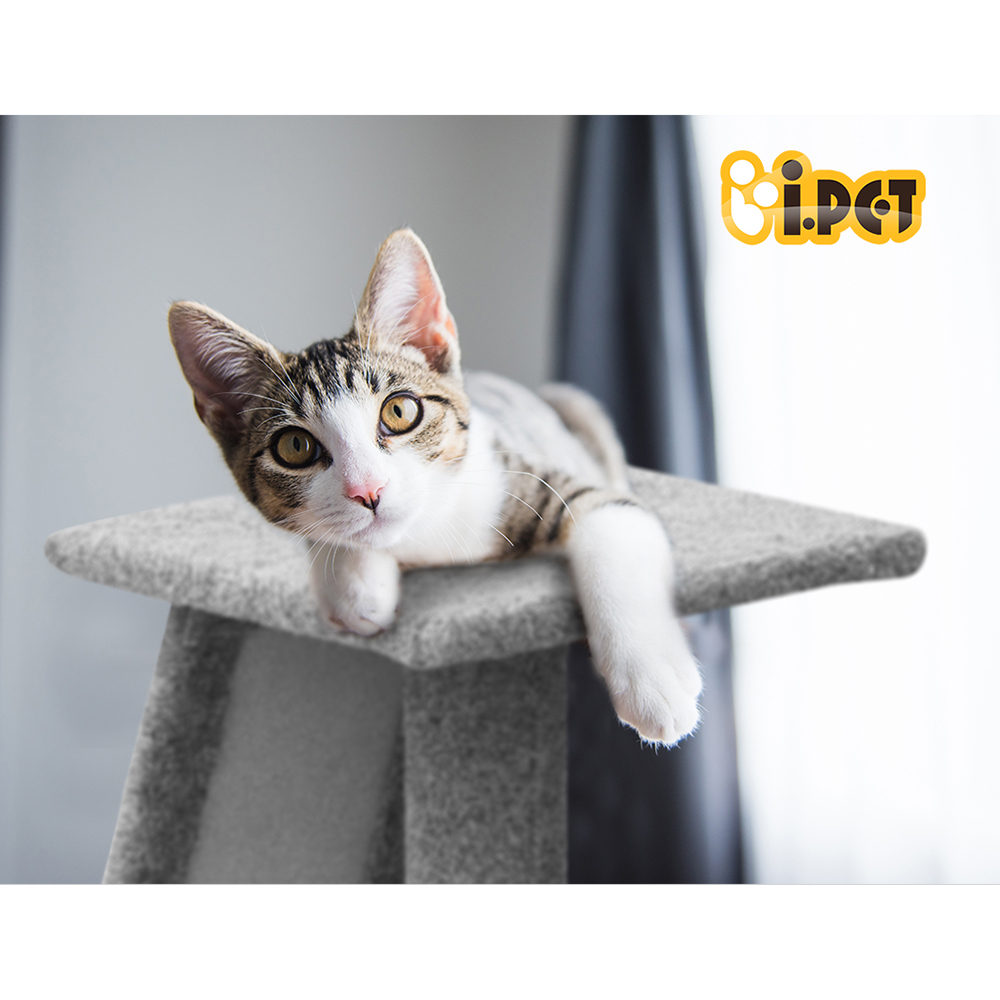 i.Pet Cat Tree 82cm Scratching Post Tower Scratcher Condo Trees Climb House image 7