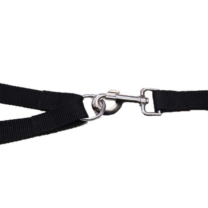 2 Way Double Dual Dog Leash Walk 2 Dogs With One Lead Coupler Nylon Harness - Blue image 6