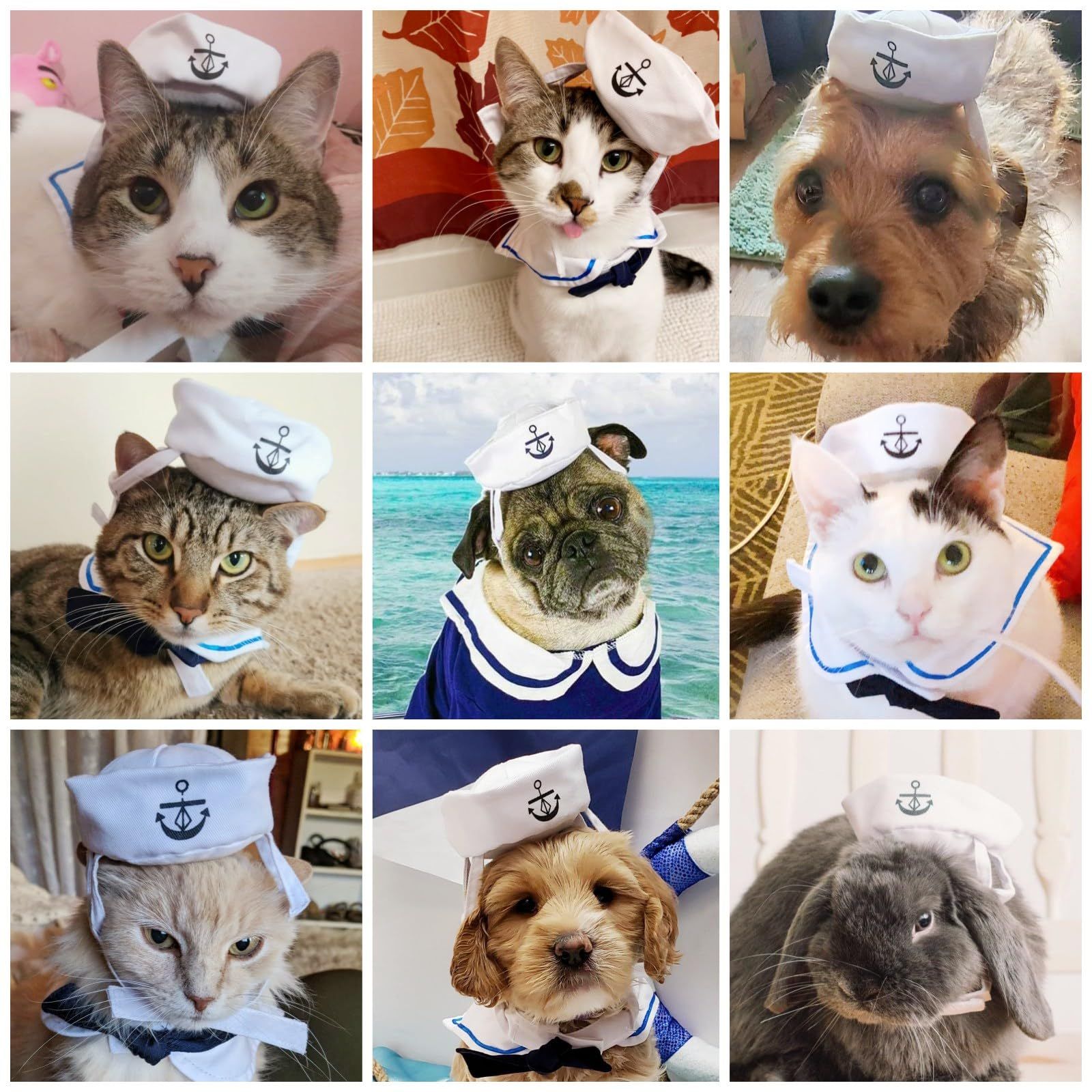 Pet Sailor Costume for Cats Small Dogs Halloween Cat Sailor Hat with Tie Collar Doggy… image 5
