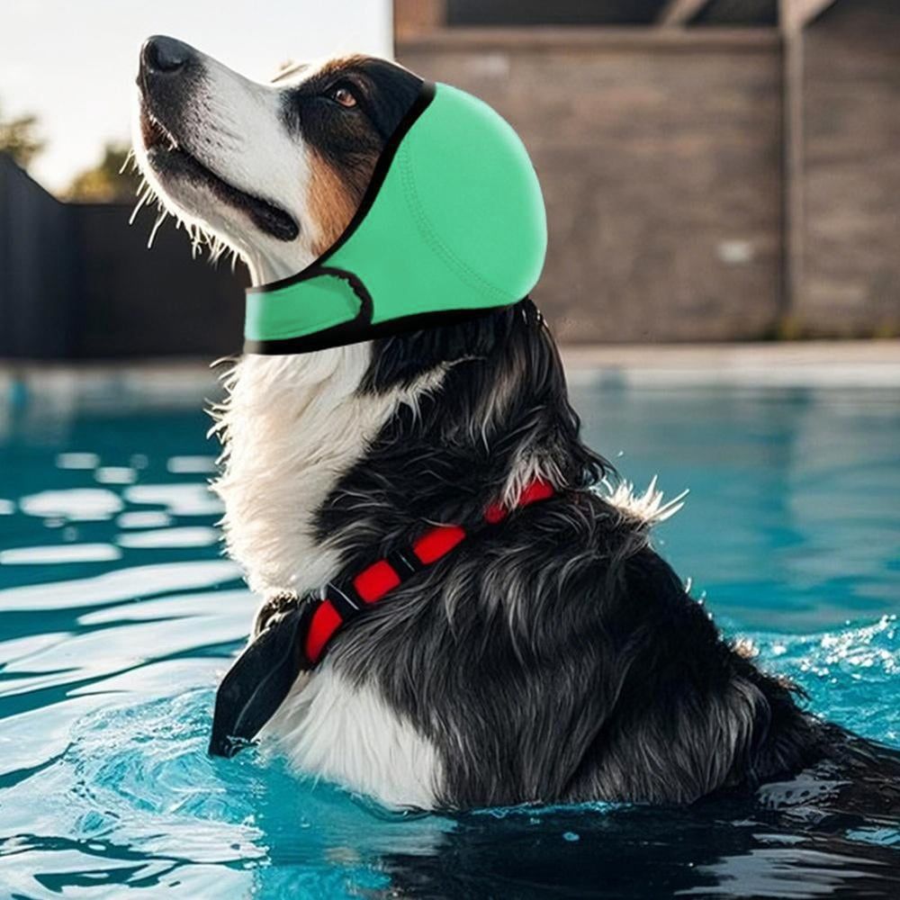 Swimming Waterproof Dog Ear Caps image 4