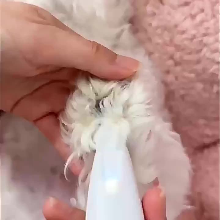 Pet electric clipper dog foot hair trimmer cat foot hair trimmer dog LED light clipper… image 6