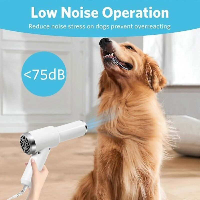 2-in-1 Pet Hair Dryer with Straightening Brush Adjustable Temperature for Small Animals image 2