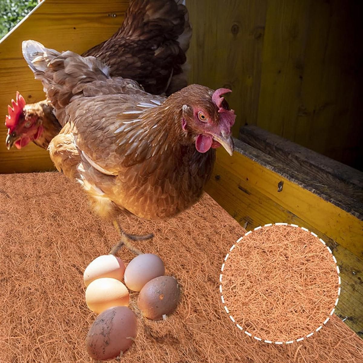 10pcs Chicken Nest Box Liner Soft Cushions for Poultry Hen Laying Coop Nest Pads image 6
