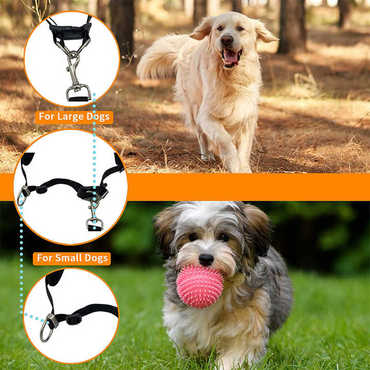 Black Reflective Pet Waist Bag with Hands-Free Leash for Night Safety - Adjustable… image 4