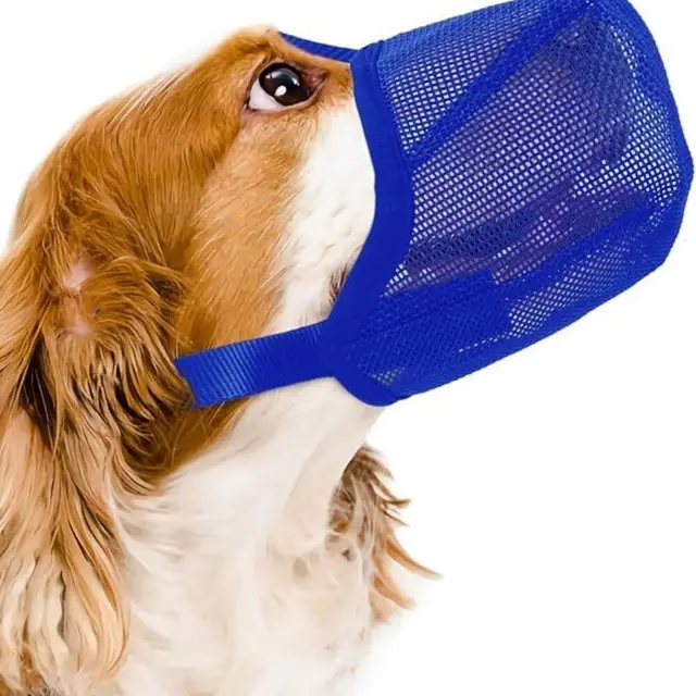 Dog Muzzle