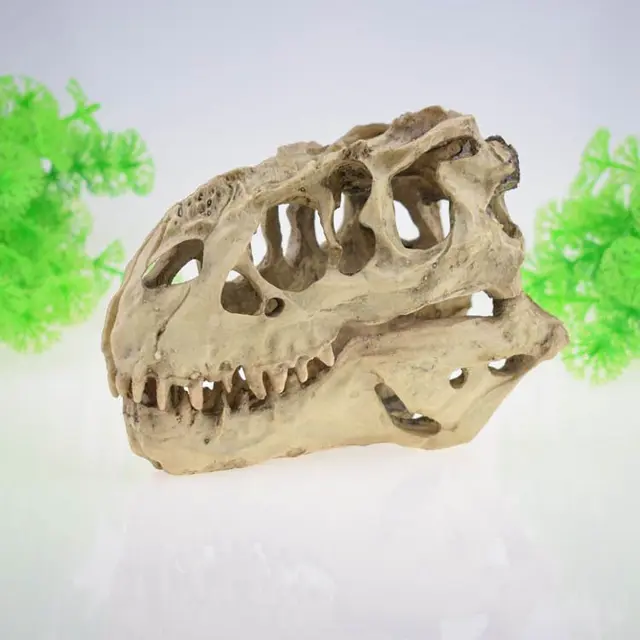 Skeleton Hole Resin Artificial Dinosaur Skull Skeleton Ornament - Fish Tank Small…