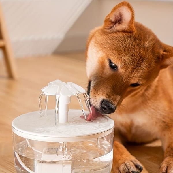 Smart Pet Fountain image 5