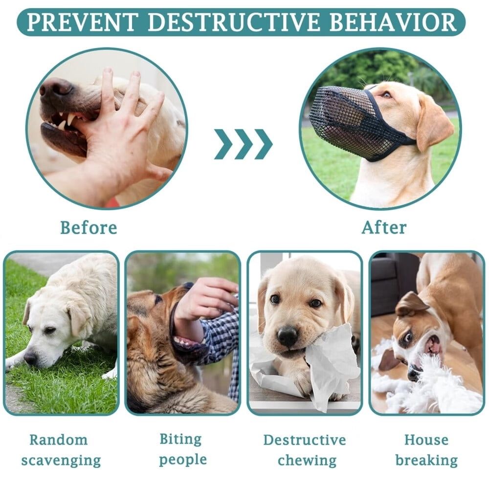 Dog Muzzle image 5