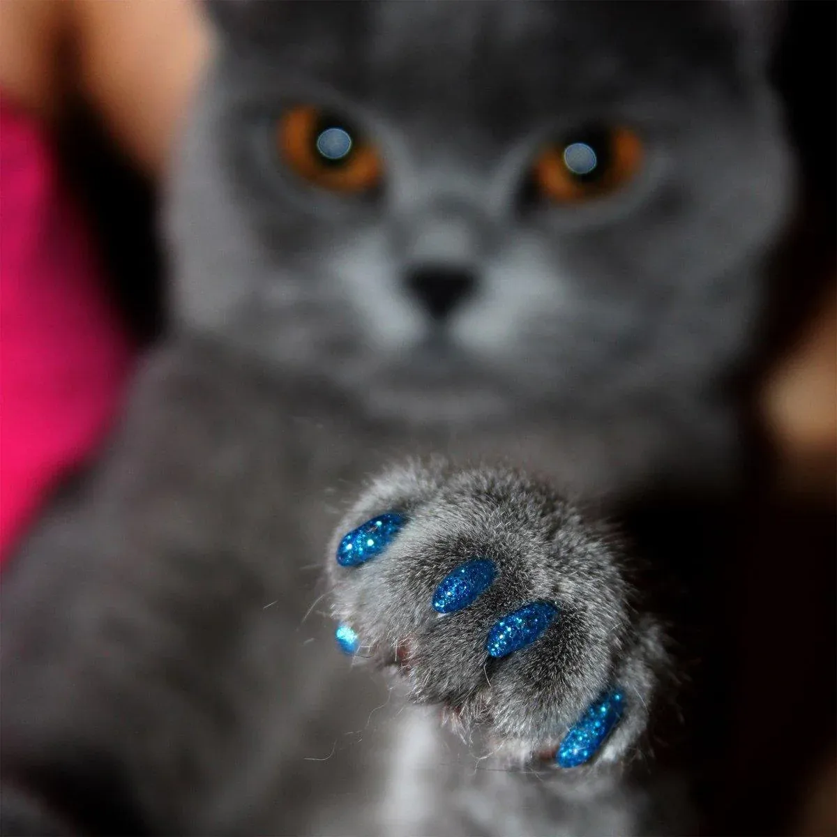 100PCS Anti Scratch Paw Covers for Cats and Kittens Nail Protector Soft Paw - Flat-M image 6