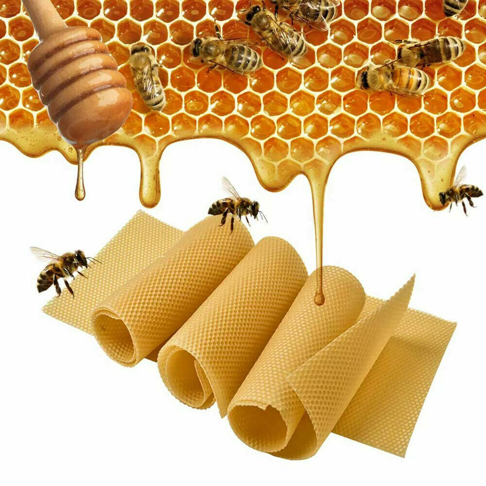 30Pcs Bee Hive Wax Honeycomb Bee Hives Beekeeping Equipment Frames Foundation image 8