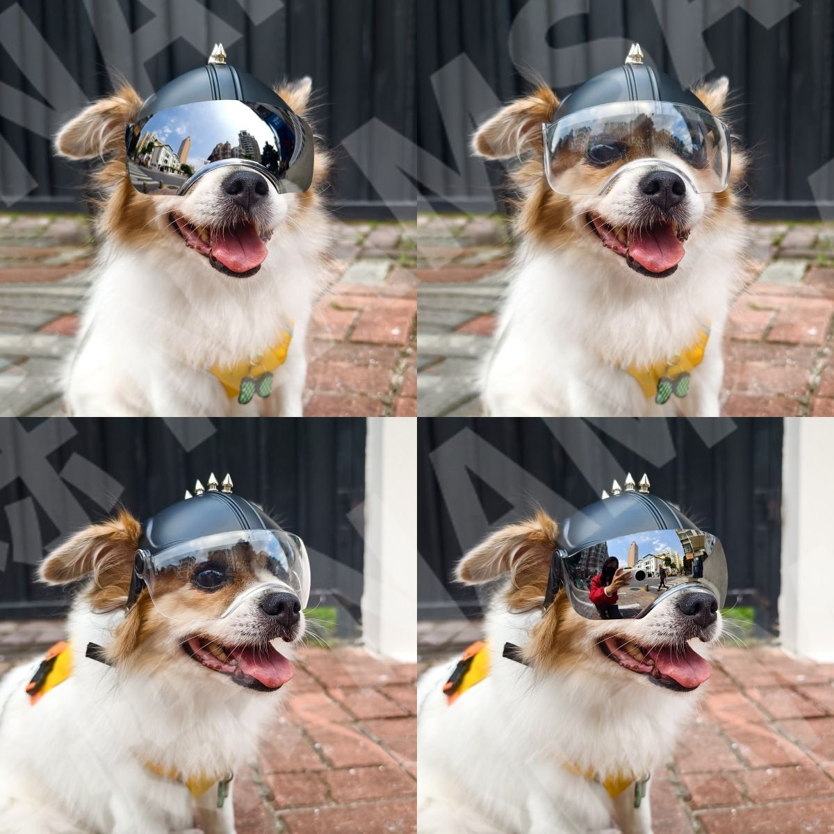 New Pet Goggles Helmet Glasses 2-in-1 Motorcycle Cap Punk ABS UV Protection Breathable… image 11