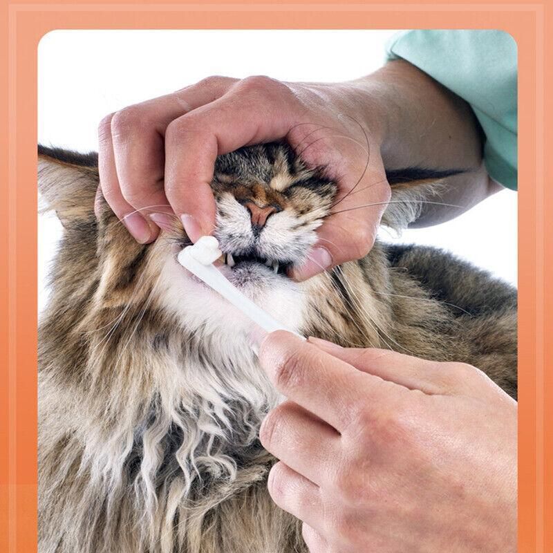Pet Toothbrush Toothpaste Set for Cats and Dogs Vanilla Flavor Oral Care Kit image 5