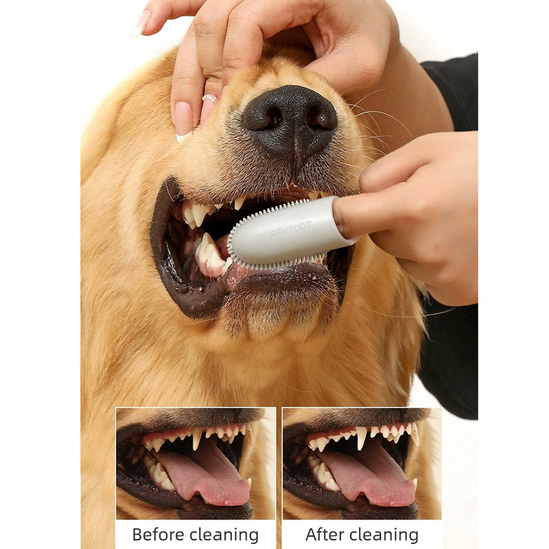 Pet Finger Toothbrush, Soft Silicone Dog and Cat Oral Cleaning Tool with Handle - White image 2