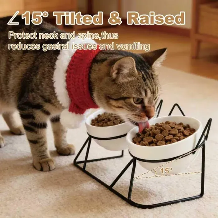 15 Degree Raised Ceramic Cat Bowl Set image 3